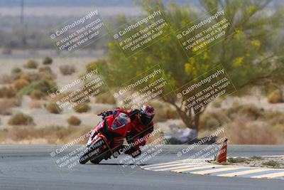 media/Apr-10-2022-SoCal Trackdays (Sun) [[f104b12566]]/Turn 5 Tree of Life (1040am)/